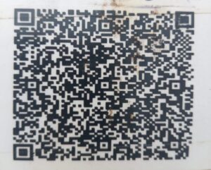 WhatsApp Image 2024-12-23 at 6.26.41 PM